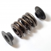 Cosworth DFV Valve Spring, Retainer & Seat