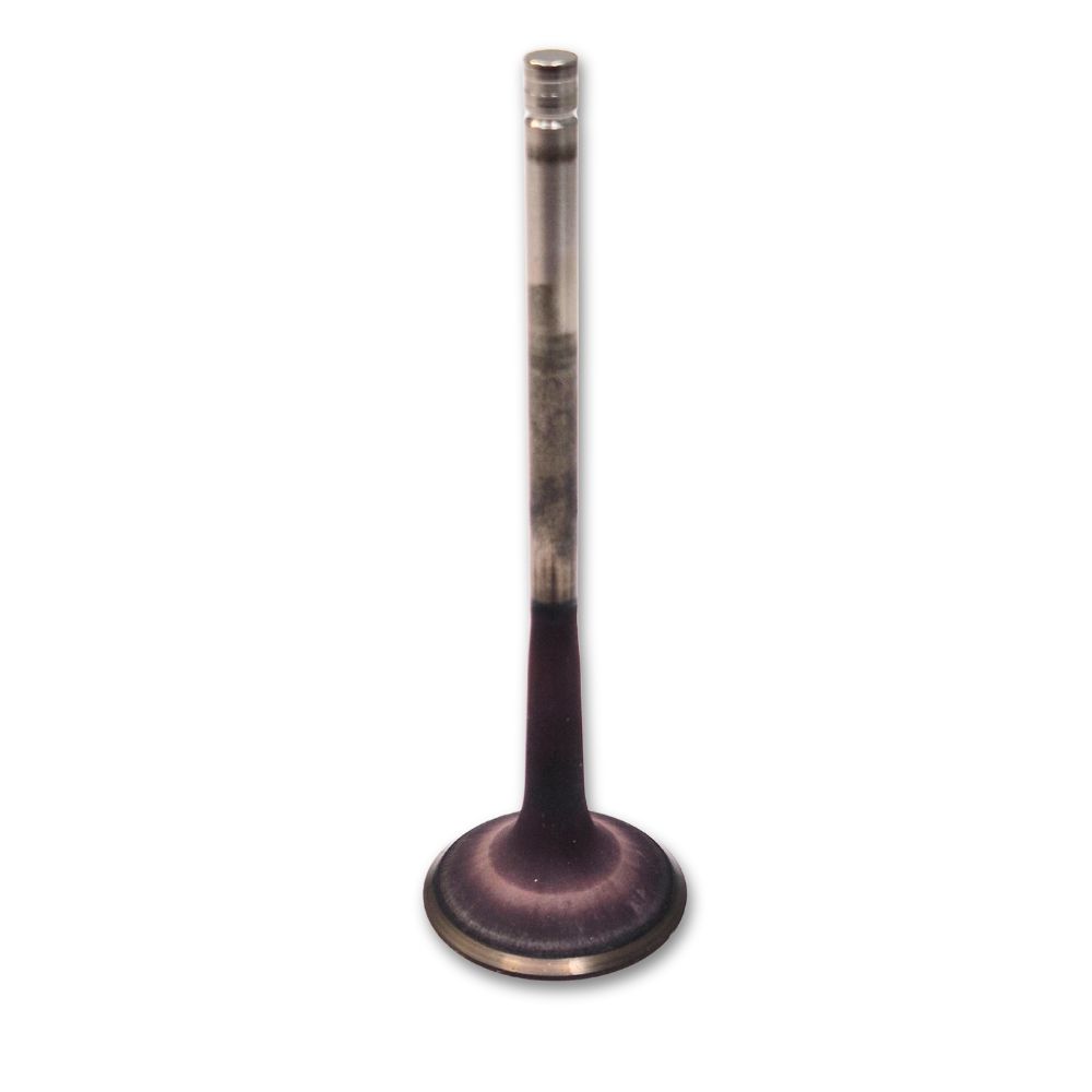 Cosworth CA2010 Exhaust Valve Cosworth CA2010 Exhaust Valve